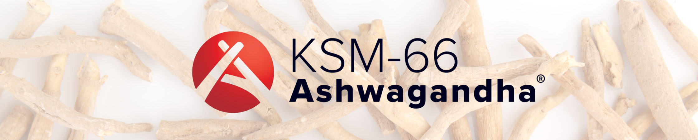 Wiecej o produkcie KSM 66 Ashwagandha
